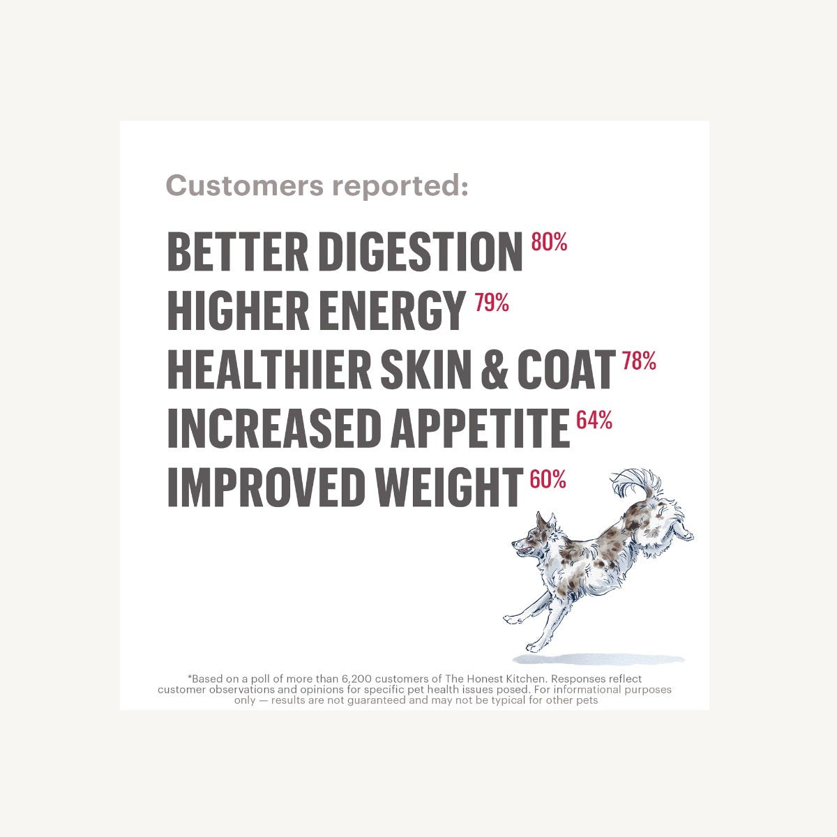 The Honest Kitchen - Dehydrated - Limited Ingredient Beef Recipe (Dog Food)
